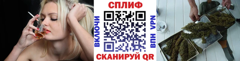 Где продают наркотики Данилов Гашиш  Псилоцибиновые грибы  Alpha-PVP  Бошки Шишки  Меф мяу мяу  КОКАИН 