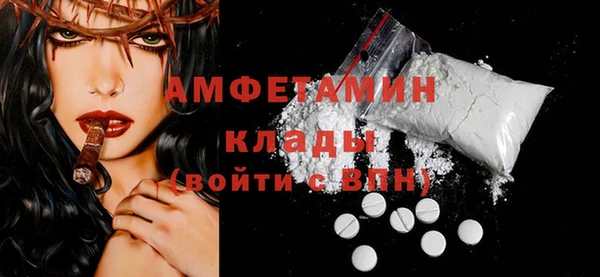 ПСИЛОЦИБИНОВЫЕ ГРИБЫ Бородино