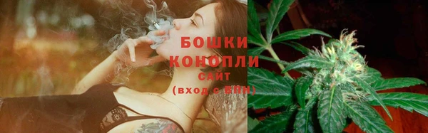 ПСИЛОЦИБИНОВЫЕ ГРИБЫ Бородино