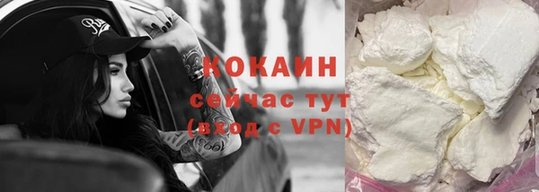ПСИЛОЦИБИНОВЫЕ ГРИБЫ Бородино