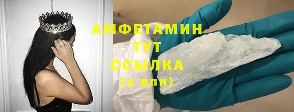 ПСИЛОЦИБИНОВЫЕ ГРИБЫ Бородино
