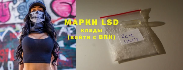ПСИЛОЦИБИНОВЫЕ ГРИБЫ Бородино