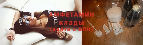 ПСИЛОЦИБИНОВЫЕ ГРИБЫ Бородино