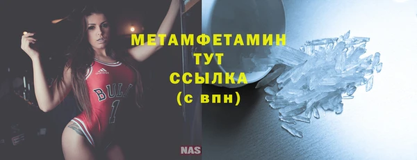 ПСИЛОЦИБИНОВЫЕ ГРИБЫ Бородино