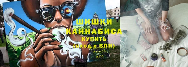 ПСИЛОЦИБИНОВЫЕ ГРИБЫ Бородино