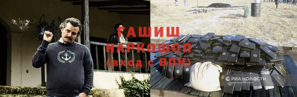 ПСИЛОЦИБИНОВЫЕ ГРИБЫ Бородино