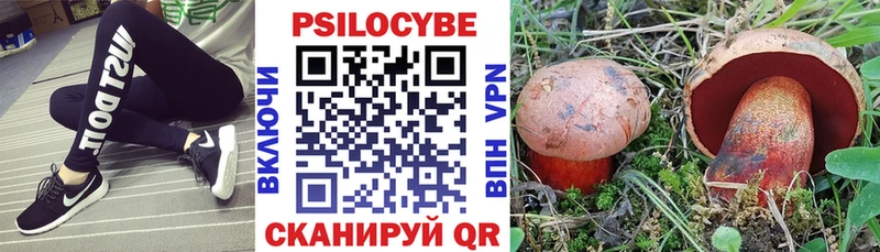 как найти наркотики  Данилов  Галлюциногенные грибы прущие грибы 